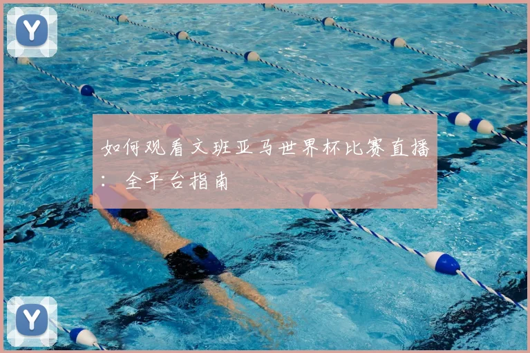 如何观看文班亚马世界杯比赛直播：全平台指南