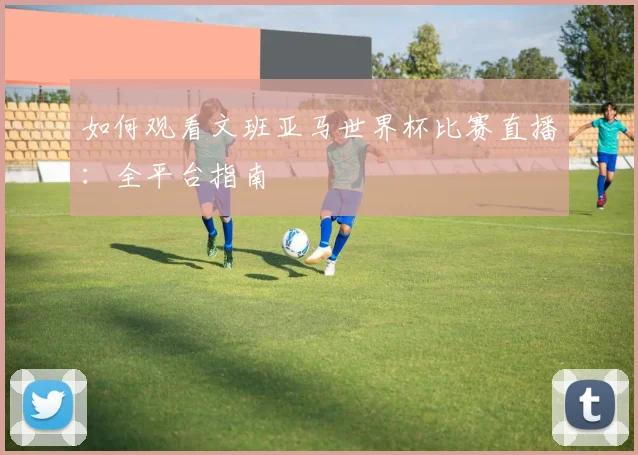 如何观看文班亚马世界杯比赛直播:全平台指南