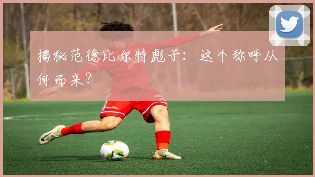 揭秘范德比尔特彪子:这个称呼从何而来?
