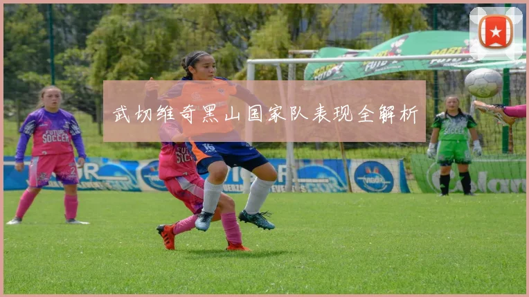 武切维奇黑山国家队表现全解析